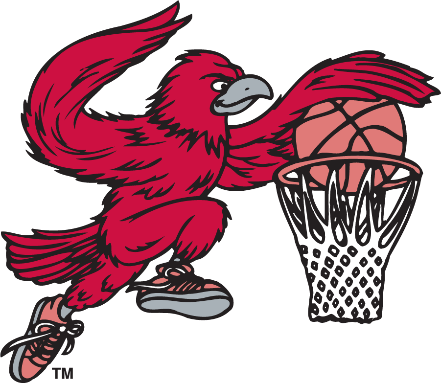 St. Joseph's Hawks 1995-2002 Secondary Logo v5 diy iron on heat transfer